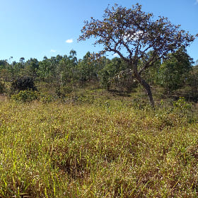 Fazenda Paraopeba