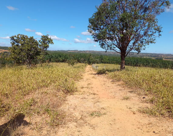 Fazenda Paraopeba MG