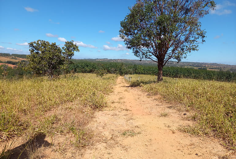 Fazenda Paraopeba MG