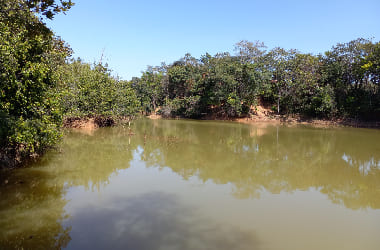 fazenda em caetanopolis