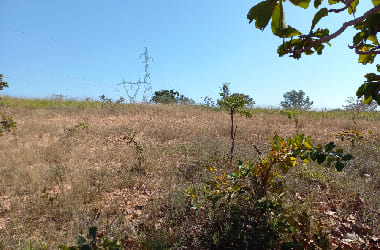 fazenda em caetanopolis