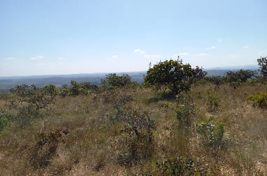 fazenda em caetanopolis