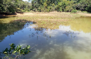 fazenda em caetanopolis