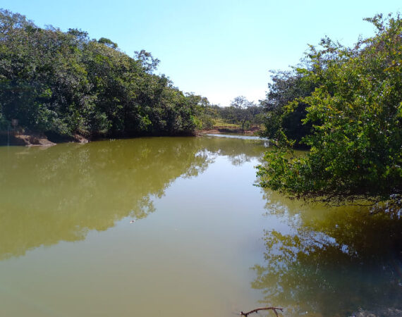 fazenda em caetanopolis