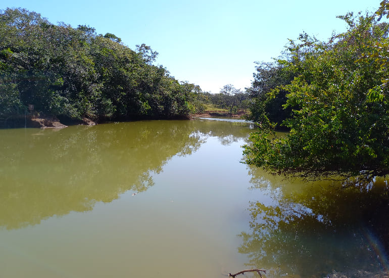 fazenda em caetanopolis