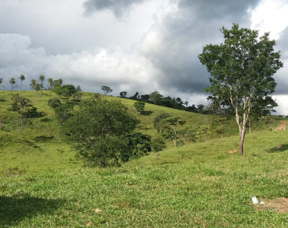 Fazenda localizada no bairro Kenedy em Santa Luzia-MG