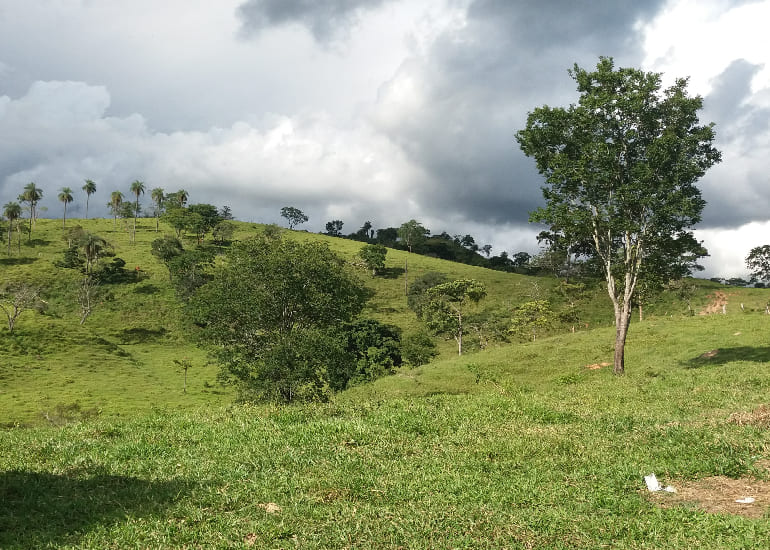 Fazenda em Santa Luzia – MG