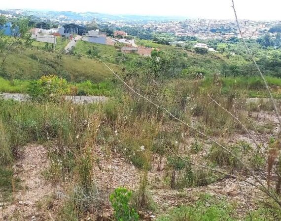 Oportunidade Única em São João Del-Rei/MG, 8 lotes no bairro Novo Horizonte.