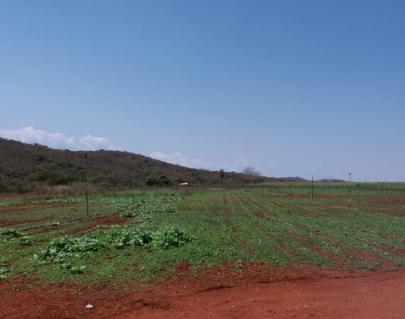 Fazenda Veadinhos em Araçaí–MG