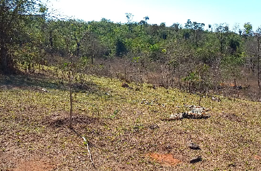 Chácara na região de Justinópolis-Ribeirão das Neves.