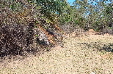 Chácara na região de Justinópolis-Ribeirão das Neves.