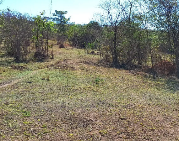 Chácara na região de Justinópolis-Ribeirão das Neves.