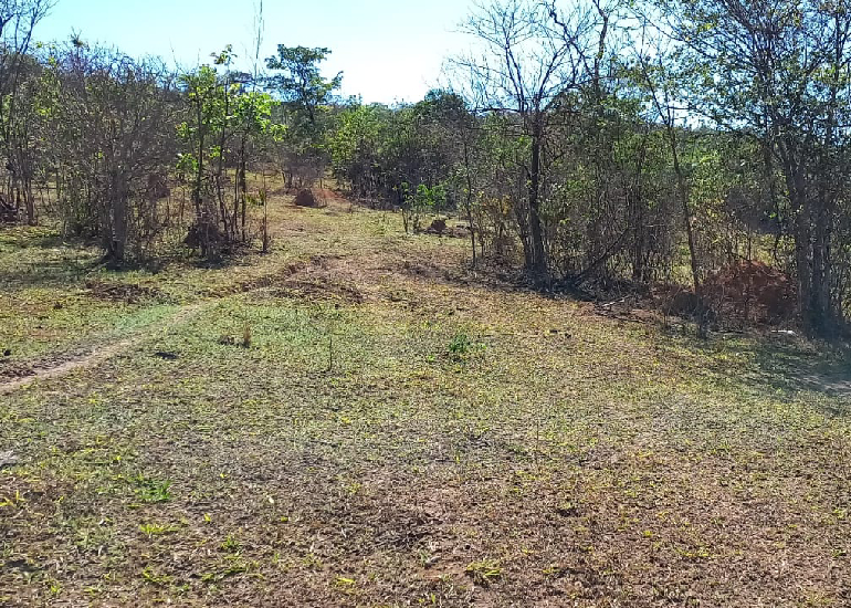 Oportunidade única: Chácara de 20.000m² em Justinópolis–Escriturada e Registrada!