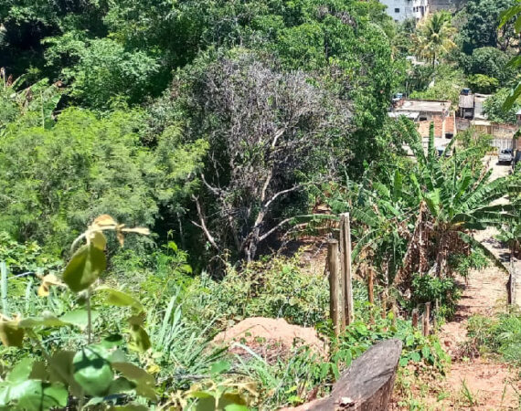 Oportunidade única: Área de 1.590m2 em Ribeirão das Neves - Documentada!