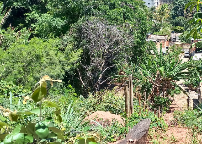 Oportunidade única: Chácara de 1.590m2 em Ribeirão das Neves-Documentada! 