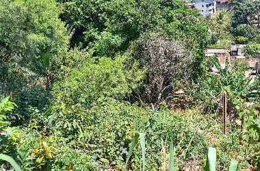 Oportunidade única: Área de 1.590m2 em Ribeirão das Neves - Documentada!