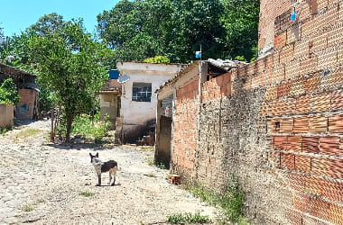 Oportunidade única: Área de 1.590m2 em Ribeirão das Neves - Documentada!