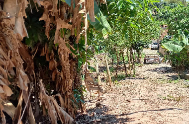 Oportunidade única: Área de 1.590m2 em Ribeirão das Neves - Documentada!