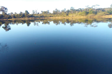 Fazenda em Felixlândia/MG.