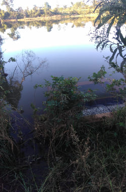 Fazenda em Felixlândia/MG.