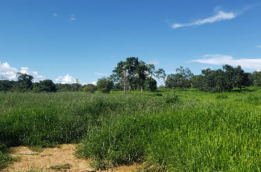 Fazenda em Felixlândia/MG.