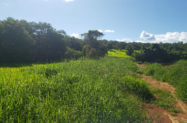 Fazenda em Felixlândia/MG.