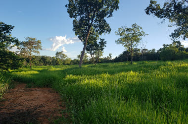 Fazenda em Felixlândia/MG.