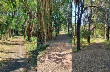 Sitio com acesso por estrada asfaltada, proximidade da BR-381.